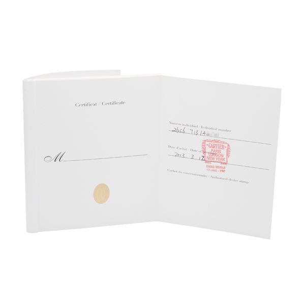 Cartier Santos 100 W20073X8